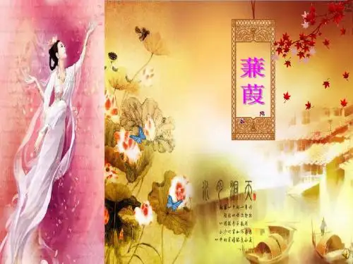 《蒹葭》