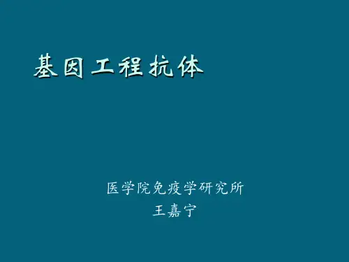 基因工程抗体