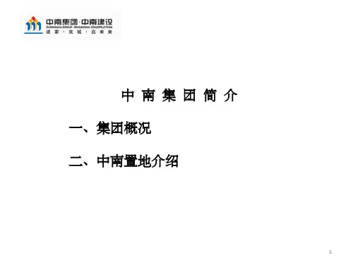 中南控股简介