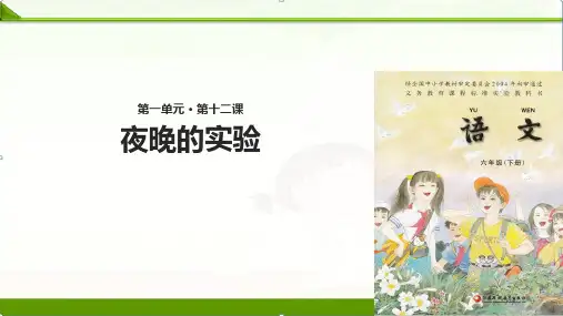 苏教版小学语文六年级下册课件：12夜晚的实验∣(共30张ppt)