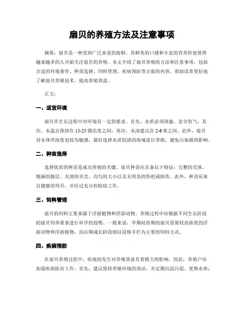 扇贝的养殖方法及注意事项
