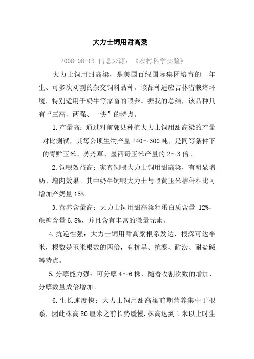 大力士饲用甜高粱