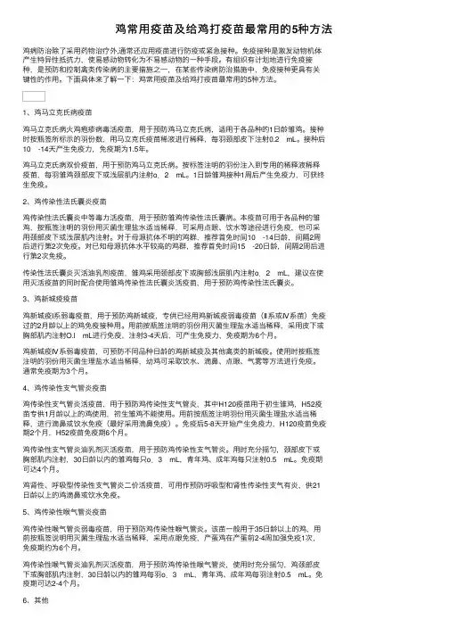 鸡常用疫苗及给鸡打疫苗最常用的5种方法