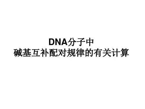 DNA分子中碱基互补配对规律的有关计算