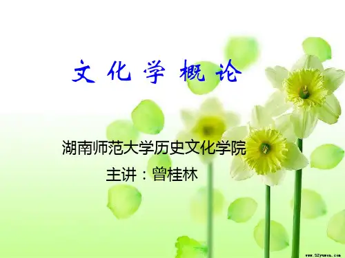 文化学概论 【第三章】