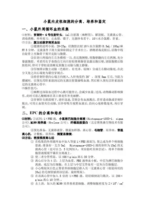 EPCs分离、培养、鉴定