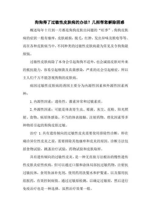 狗狗得了过敏性皮肤病的办法？几招帮您解除困惑