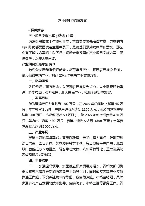 产业项目实施方案