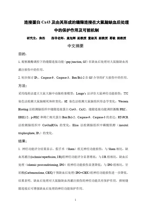 连接蛋白Cx43及由其形成的缝隙连接在大鼠脑缺血后处理中的保护作用及可能..