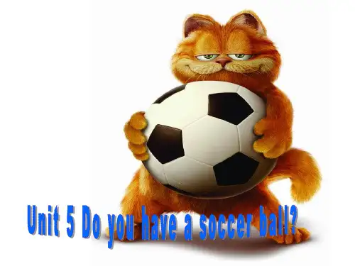 新目标英语七年级上unit_5_Do_you_have_a_soccer_ball(全课件)