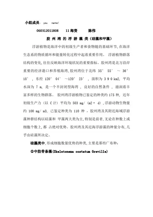 胶州湾浮游藻类(甲藻和硅藻)