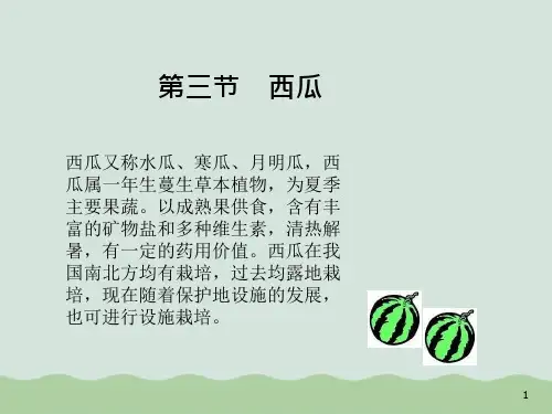 西瓜栽培技术讲义课件