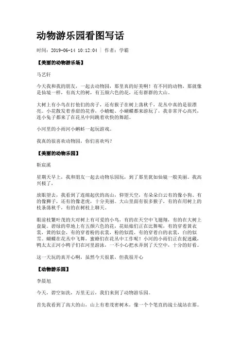 动物游乐园看图写话