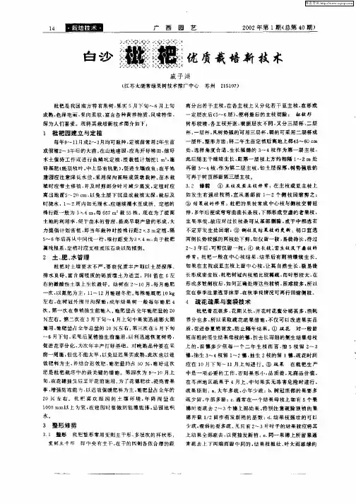 白沙枇杷优质栽培新技术