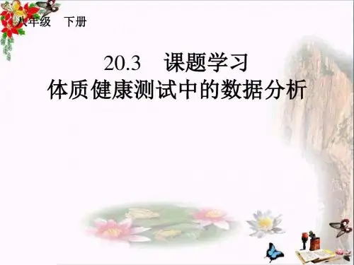 《体质健康测试中的数据分析》数据的分析 精品PPT课件2