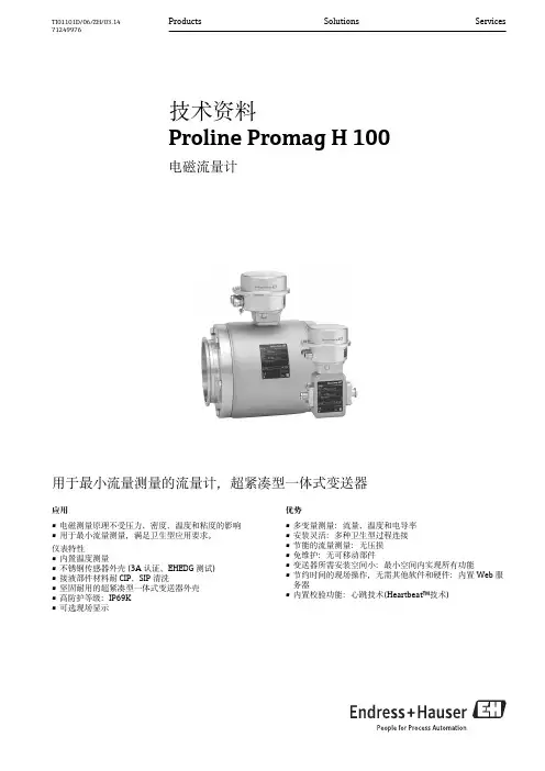 Proline Promag H 100 电磁流量计说明书