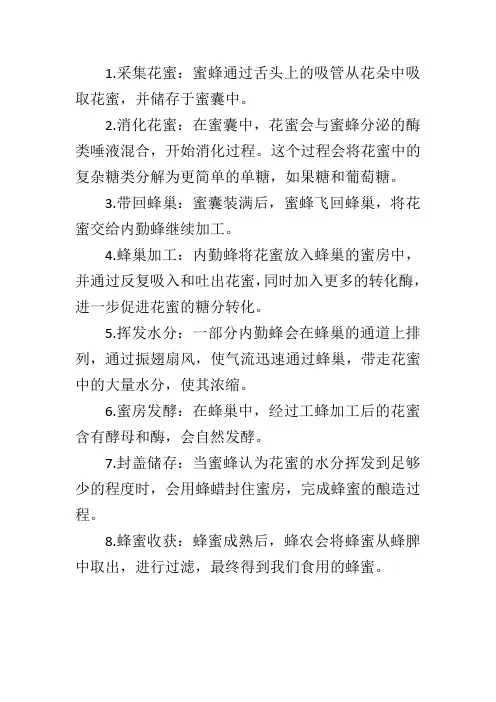 蜜蜂生产加工工艺流程