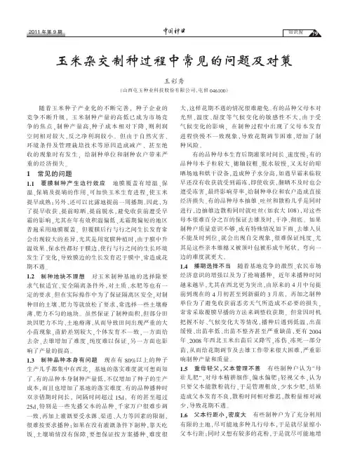 玉米杂交制种过程中常见的问题及对策
