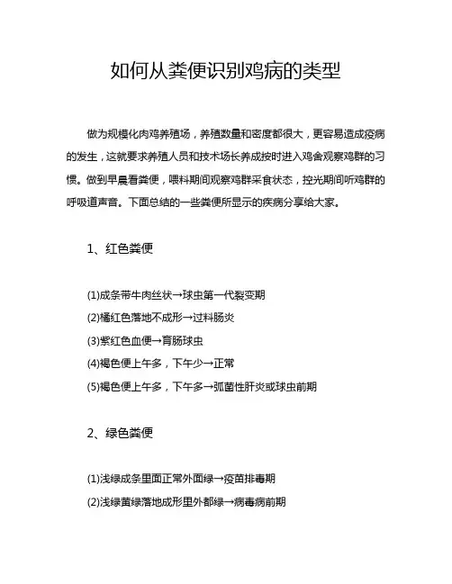 如何从粪便识别鸡病的类型