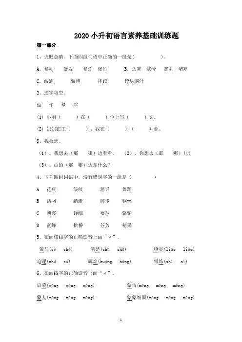 人教部编版六年级下册语文小升初基础知识专练  (含答案)