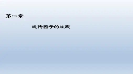 高中生物- 孟德尔的豌豆杂交实验(一)