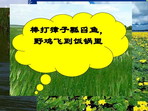 人教版高中地理必修3第二章问题研究《为什么停止开发“北大荒”》优质课件(共25张PPT)