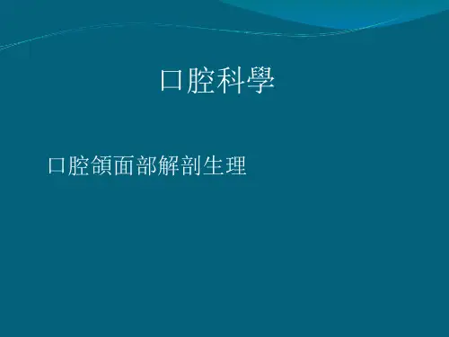 【口腔】口腔颌面部解剖生理