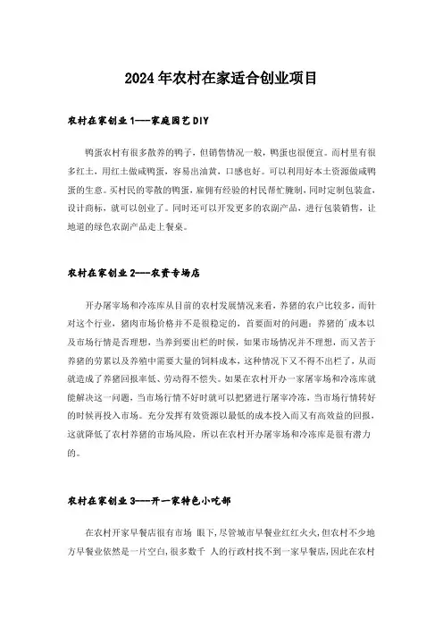 2024年创业_农村在家适合创业项目