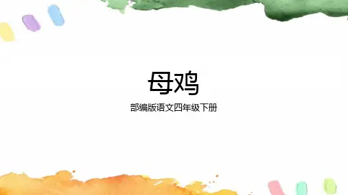 14 母鸡   课件(共15张PPT)