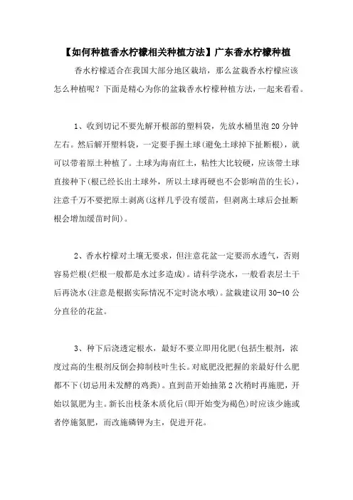 【如何种植香水柠檬相关种植方法】广东香水柠檬种植