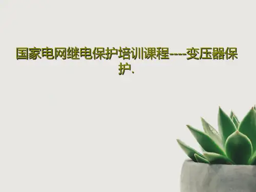 国家电网继电保护培训课程----变压器保护.PPT文档共32页