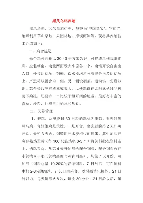 黑凤乌鸡养殖