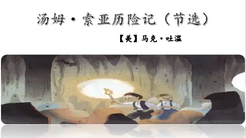 部编版六年级下册语文7《汤姆·索亚历险记(节选)》课件(共15张PPT)
