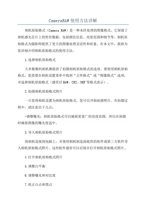 CameraRAW使用方法详解