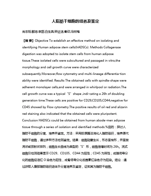 人脂肪干细胞的培养及鉴定