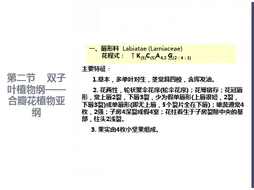 药用植物学课件-被子植物代表植物(三)