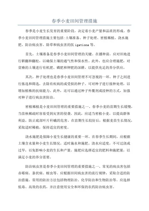 春季小麦田间管理措施
