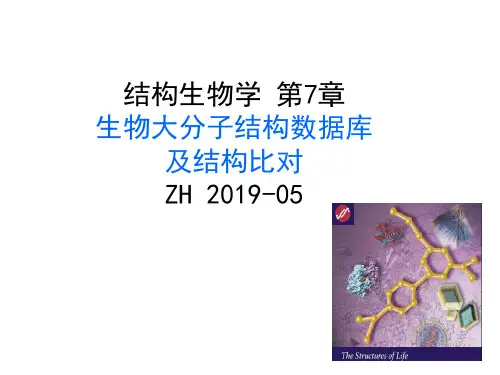 结构生物学--第7章--生物大分子结构数据库--ZH--2019
