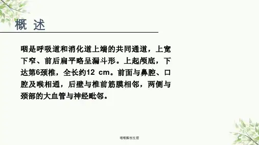 咽喉解剖生理课件