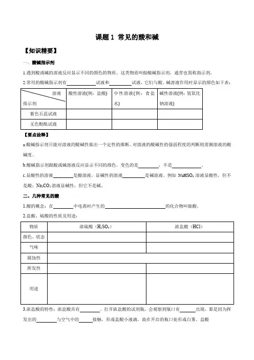 2022-2023学年人教版九年级化学下册《常见的酸和碱》考点精讲精练原卷