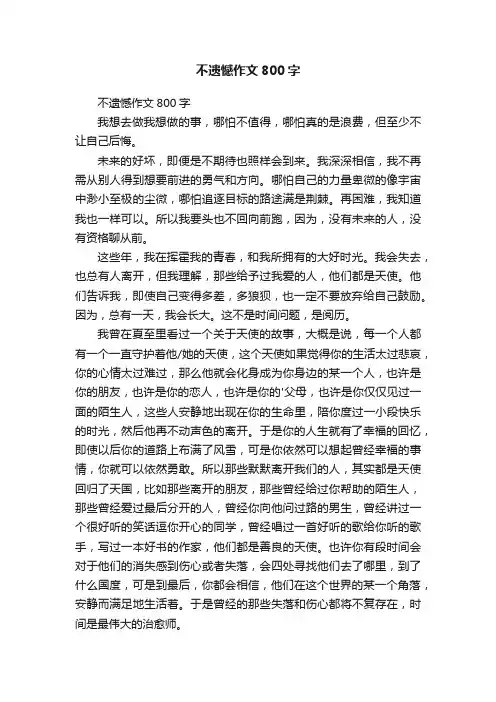 不遗憾作文800字