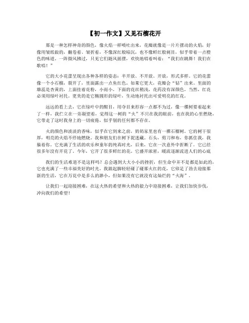 【初一作文】又见石榴花开