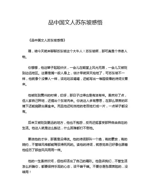 品中国文人苏东坡感悟