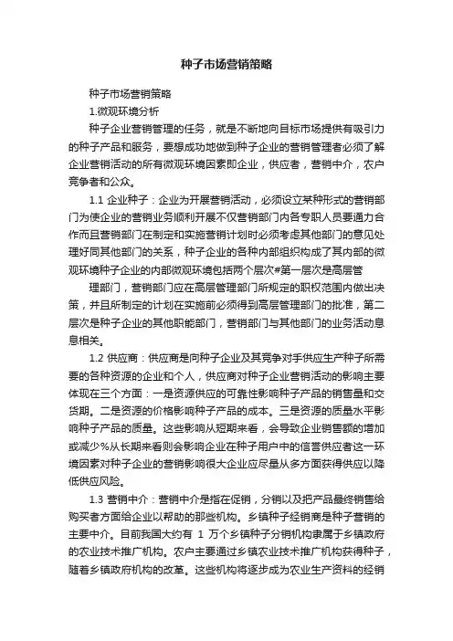 种子市场营销策略