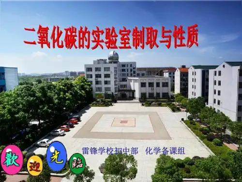 二氧化碳的实验室制取与性质