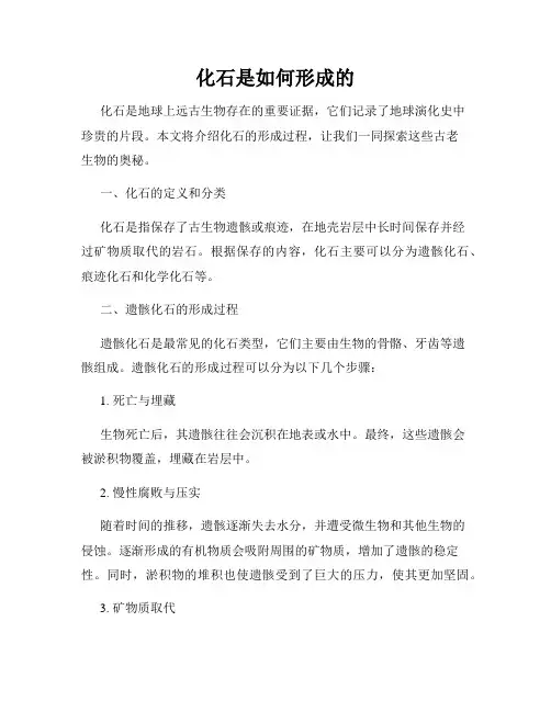 化石是如何形成的