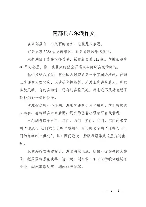 南部县八尔湖作文