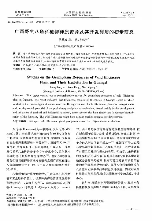 广西野生八角科植物种质资源及其开发利用的初步研究