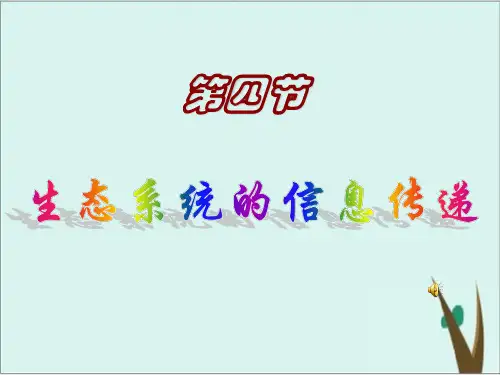 《生态系统》PPT精品课件部编版1