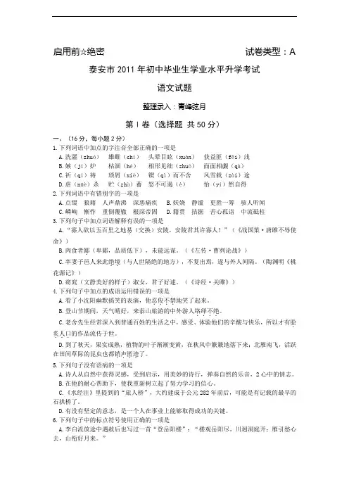 2011年山东省泰安市中考语文试卷(含答案)